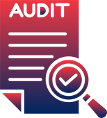 Audit Icon