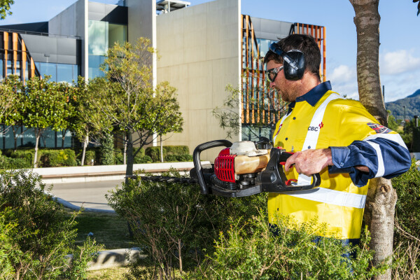 Landscaping at Wollongong University