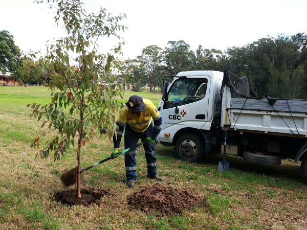 Tree planting at Landcom Site